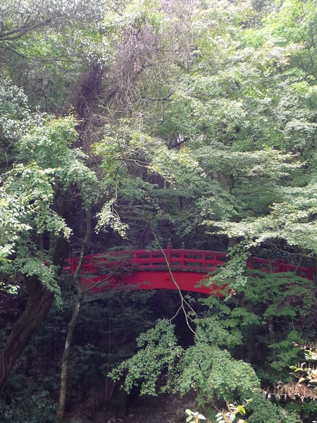 愛媛の風に吹かれて~西山興隆寺