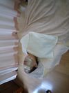 トンちゃんと小さな贅沢