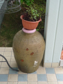 哀れな一生にココロ痛める?