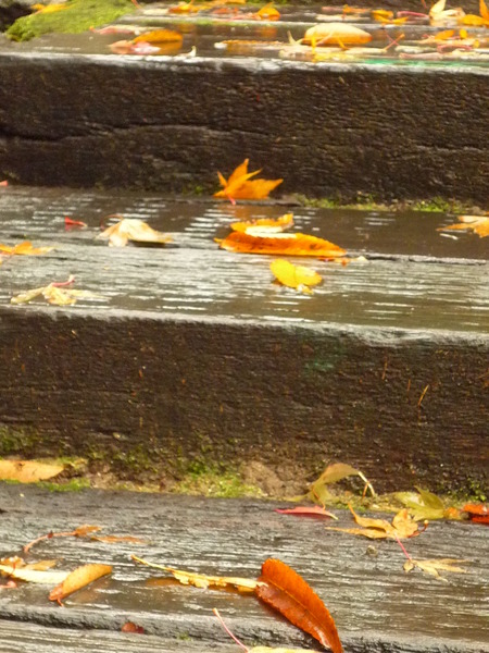 雨の日に・・・in 四国村