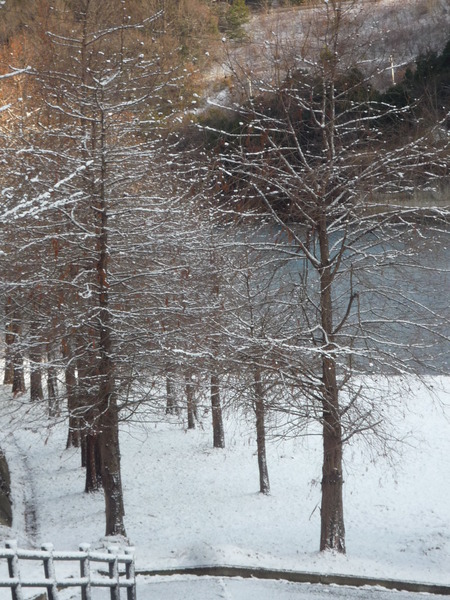 わが町は、雪一面