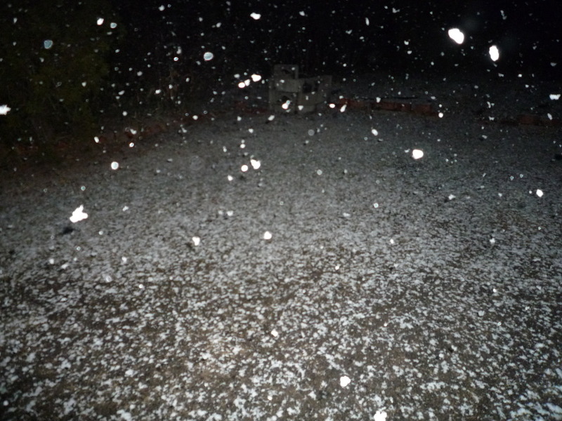 あっ!雪