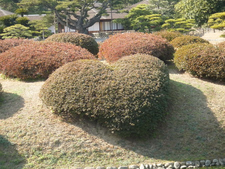 こんなハート発見