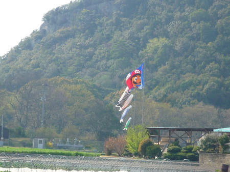 春風に乗って・・・希望が