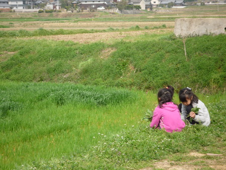 ネエネとあさひの昼下がり