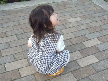なんとも、かわいそうなことで・・・