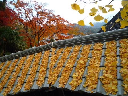 88番札所 大窪寺へ行く。