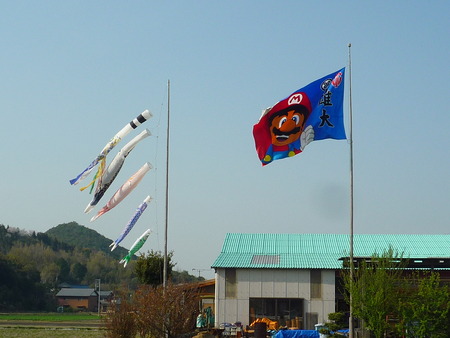 春風に乗って・・・希望が