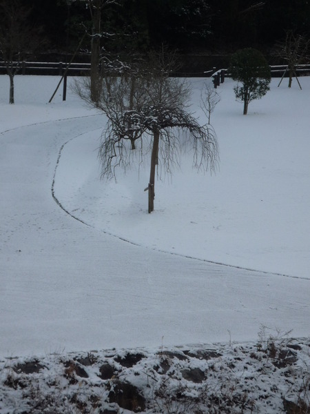 わが町は、雪一面