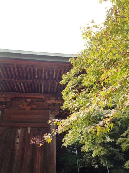 愛媛の風に吹かれて~西山興隆寺