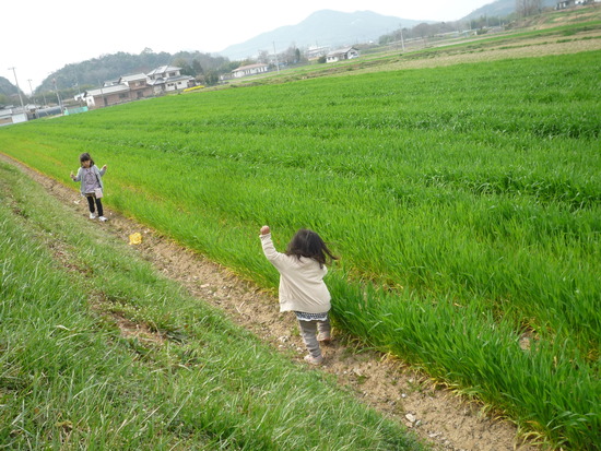 ネエネとあさひの昼下がり