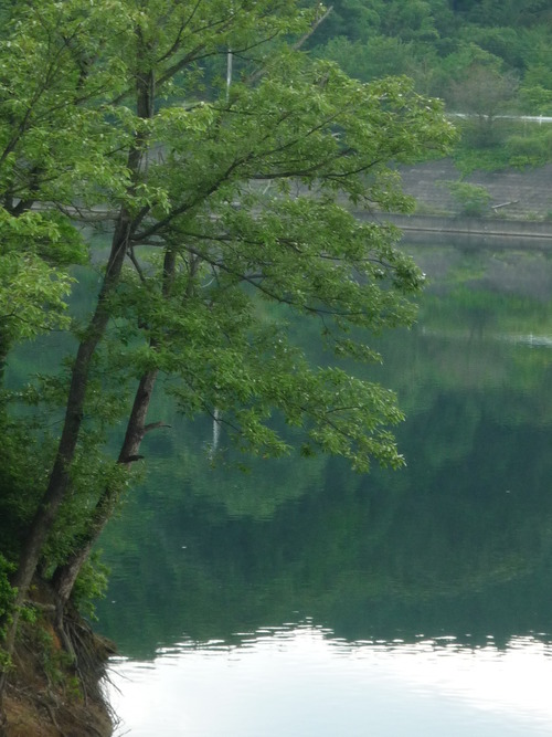 門入湖に癒されて
