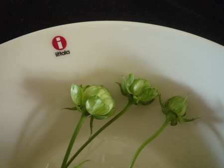 素敵!北欧iittala(イッタラ)の食器