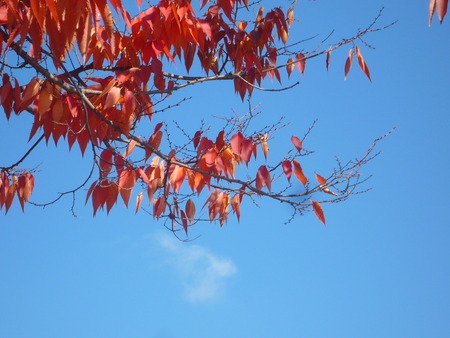 この空の下