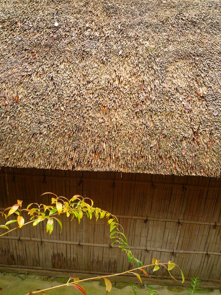 雨の日に・・・in 四国村