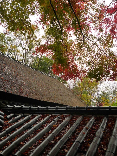 雨の日に・・・in 四国村