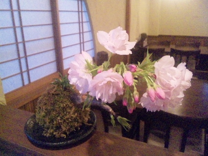 夜桜
