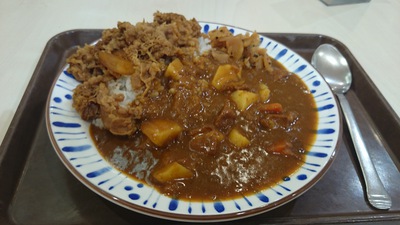 カレーとお肉 カレーとお肉
