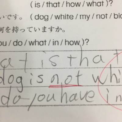 珍解答。わかるけど(笑) 珍解答。わかるけど(笑)