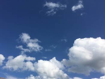 台風よ消えてくれ!定期演奏会が楽しみで仕方ない! 台風よ消えてくれ!定期演奏会が楽しみで仕方ない!