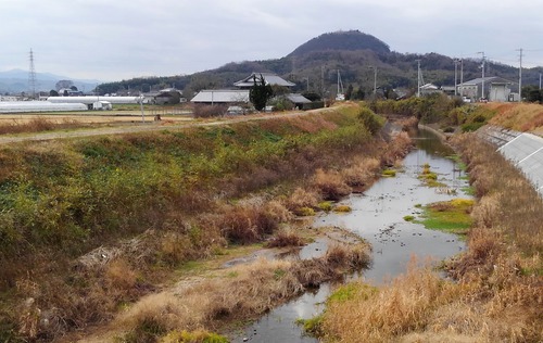 白山(しらやま)&だけ山を遠望して 鴨部川のほとりから 白山(しらやま)&だけ山を遠望して 鴨部川のほとりから