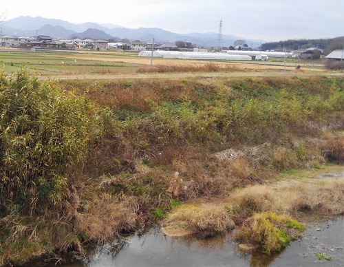 白山(しらやま)&だけ山を遠望して 鴨部川のほとりから 白山(しらやま)&だけ山を遠望して 鴨部川のほとりから