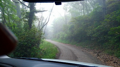 続　霧の朝の風景　うどん県