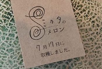 ミカタのメロン ラベル ミカタのメロン ラベル