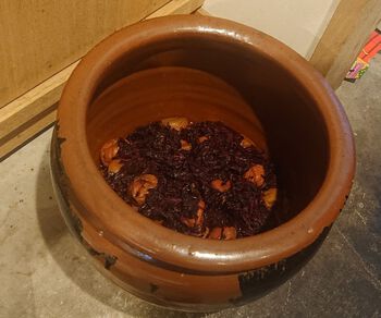 梅干1 梅干1