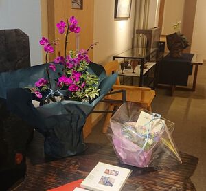 篠原真由美日本画小品展 今日、初日! 篠原真由美日本画小品展 今日、初日!
