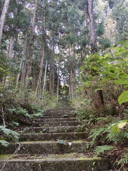 小正月 小正月