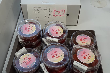 低塩の手作り梅干しヽ(^o^)丿 低塩の手作り梅干しヽ(^o^)丿