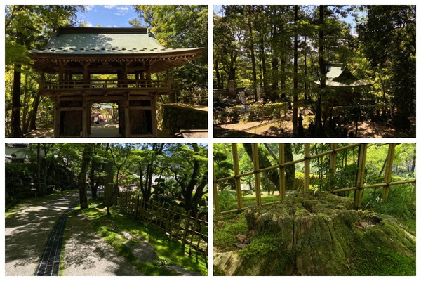 緑萌える大窪寺にて 緑萌える大窪寺にて