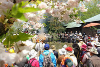 讃岐富士