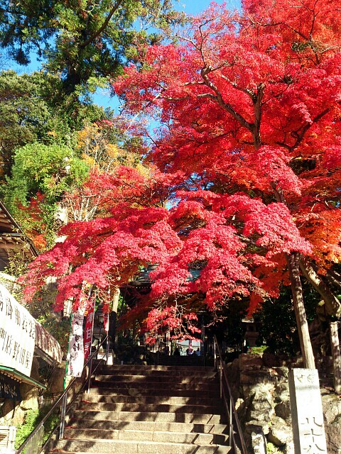大窪寺
