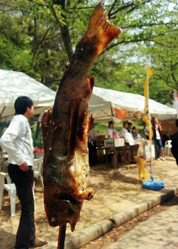 丸亀お城祭り 丸亀お城祭り
