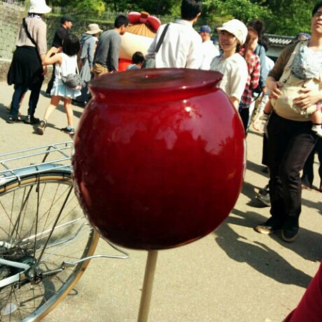 丸亀お城祭り 丸亀お城祭り