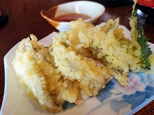 活魚問屋 海寶 活魚問屋 海寶