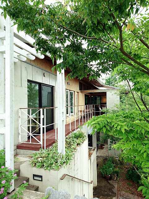 地中海カフェ プラヤ 地中海カフェ プラヤ