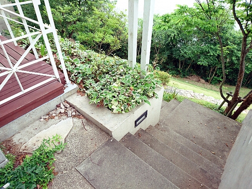 地中海カフェ プラヤ 地中海カフェ プラヤ