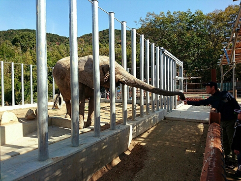白鳥動物園 ~ 香川のてぶくろ資料館 白鳥動物園 ~ 香川のてぶくろ資料館