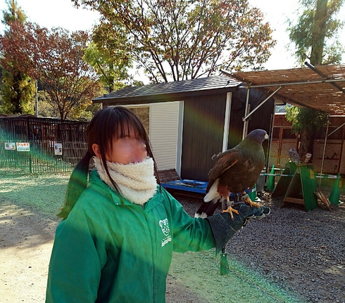 白鳥動物園 ~ 香川のてぶくろ資料館 白鳥動物園 ~ 香川のてぶくろ資料館