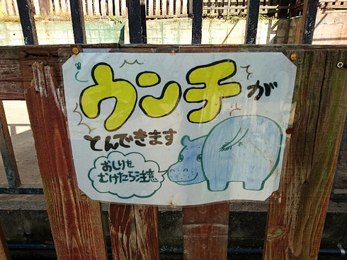 白鳥動物園 ~ 香川のてぶくろ資料館 白鳥動物園 ~ 香川のてぶくろ資料館