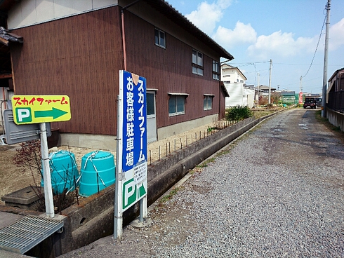 いちご屋スカイファーム いちご屋スカイファーム