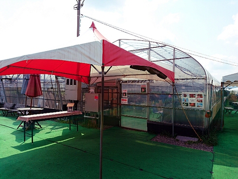 いちご屋スカイファーム いちご屋スカイファーム