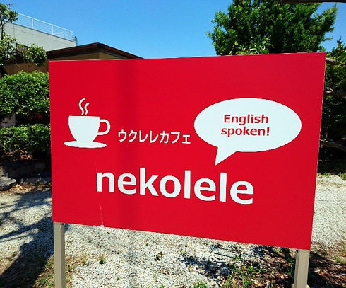 ウクレレカフェ nekolele (オープン) ウクレレカフェ nekolele (オープン)
