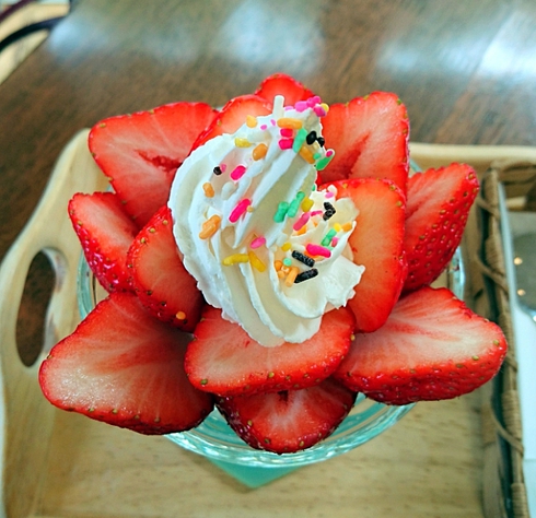 いちご畑 いちご畑