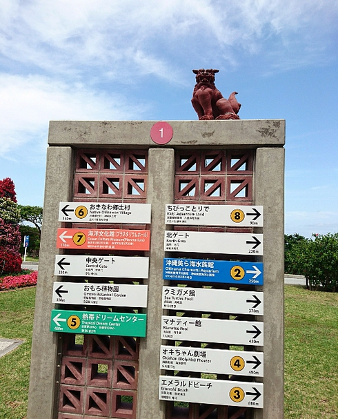 沖縄/美ら海水族館~森のガラス館 沖縄/美ら海水族館~森のガラス館