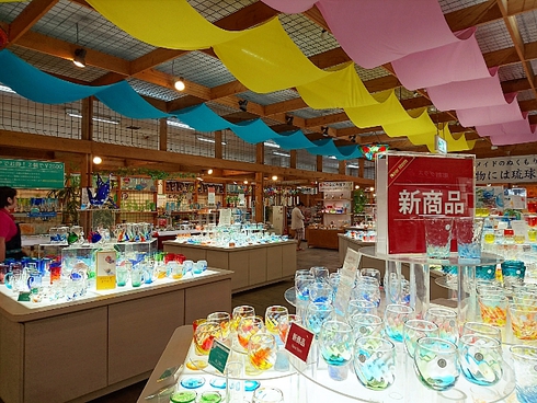 沖縄/美ら海水族館~森のガラス館 沖縄/美ら海水族館~森のガラス館