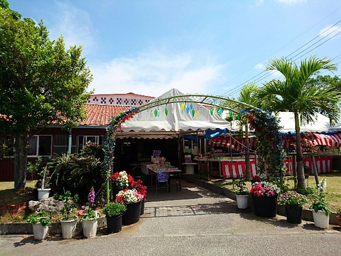 沖縄/美ら海水族館~森のガラス館 沖縄/美ら海水族館~森のガラス館